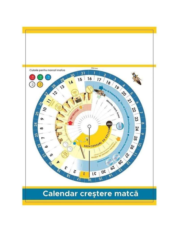 Calendar crestere matca