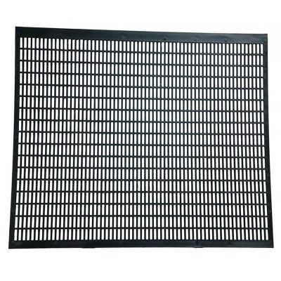 Gratie Haneman 10 rame Polonia