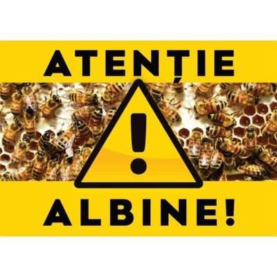 Panou Atentie Albine