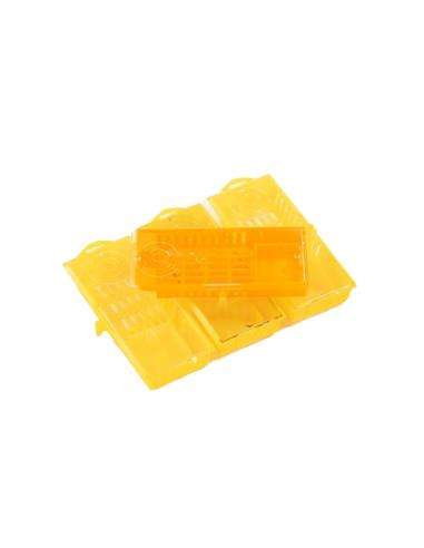 Cusca pu matci 3005